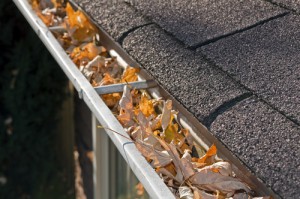 clogged gutters